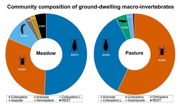 Figure 2 of the publication entitled: "Community composition (in percent) of ground-dwelling macro-invertebrates from an intensively managed hay
meadow and an extensively managed dry pasture at the LT(S)ER area ‘Val Mazia/Matschertal’, South Tyrol, Italy."