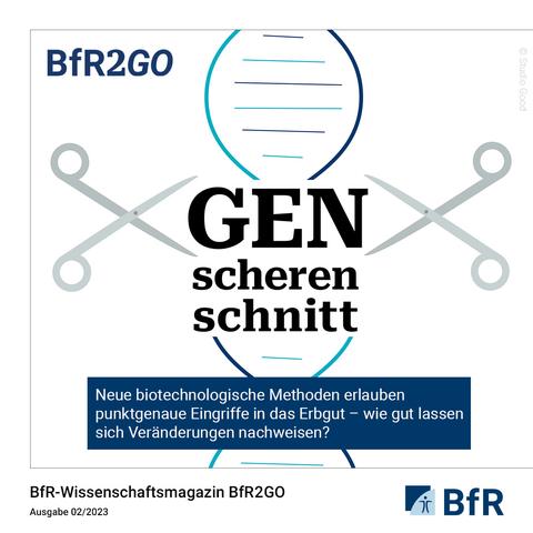 Eine Zeichnung zeigt, wie ein DNS-Strang an beiden Seiten von Scheren geschnitten wird.