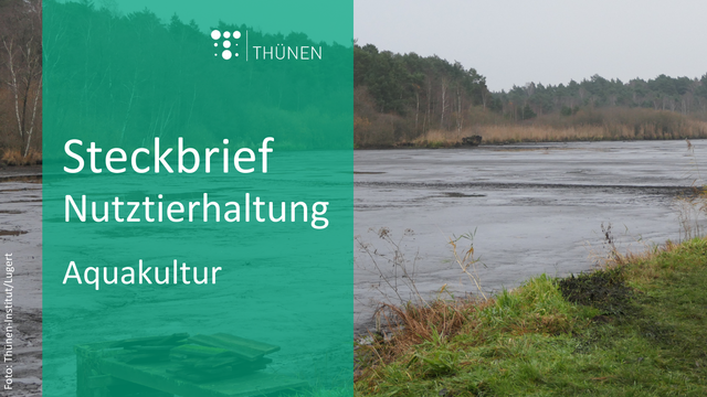 Abgelassener Karpfenteich