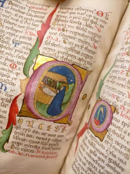 BUB, Ms. 2902. Manoscritto membranaceo, sec. XIV.
