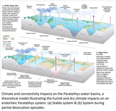 schematic - graphic - Climate and connectivity impacts on the Paratethys water-basins, a theoretical model illustrating the humid and dry climate impacts on an endorheic Paratethys system. (a) Stable system; (b) System during partial desiccation episodes.
