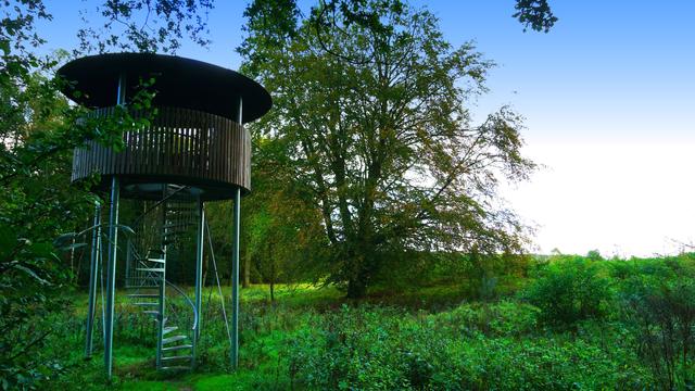 Aussichtsturm am Waldrand