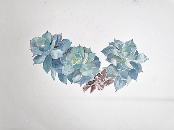 Watercolor painting of a chicken and hen succulent plant.
9x12" on watercolor paper.