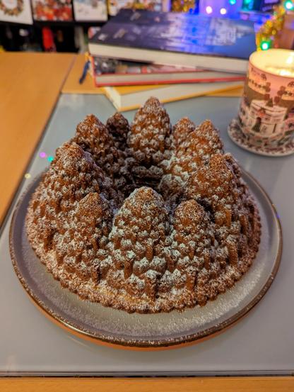 1) A deep caramel coloured bundt cake shaped like pine trees, dusted with icing sugar. It is sitting on a coffee table with a candle and some books in the background.
