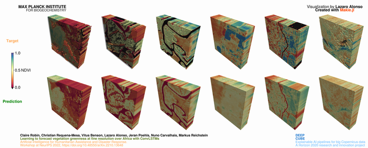 Cube-pixel plot visualization. Vegetation forecast over Africa. Top row, target, and lower row prediction.