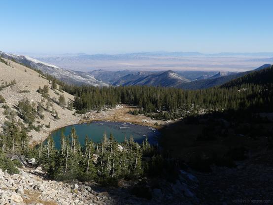 Johnson Lake in Great Basin National Park.

A shallow and green lake with logs on the far side occupies the middle. Conifers obscure the closer edge of the lake. Another line of them cover the edge of the portion of valley that contains the lake. They are found in clumps on the slopes around the flat of the glacial valley. In the distance, a sharper valley extends toward a large basin, part of the Great Basin.