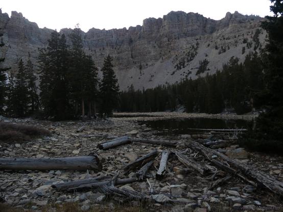 Baker Lake in Great Basin National Park.

A shadowed lake below high cliffs is very low, exposing scattered logs and light colored rocks. Around the natural edge of the lake, conifers stand. They can be found in clumps on some of the scree below the high cliffs too.