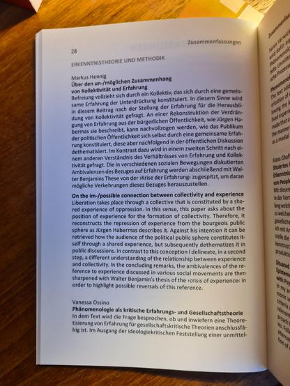 Kurzusammenfassung des Beitrags "Über den un-/möglichen Zusammenhang von Kollektivität und Erfahrung"