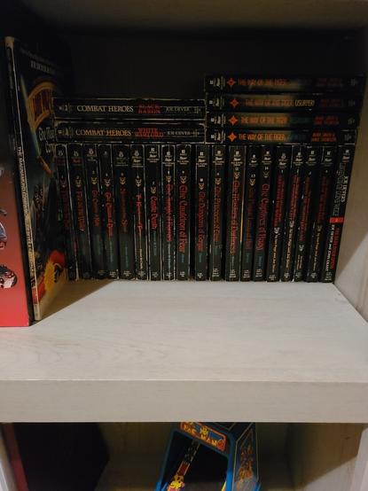 A section of my bookshelf showing all of my Lone Wolf books including the Magnamund Companion, Lone Wolf series, Grey Star series, 2 Combat Heroes books, one Legends of Lone Wolf book, and the first 4 of the Way of the Tiger series.