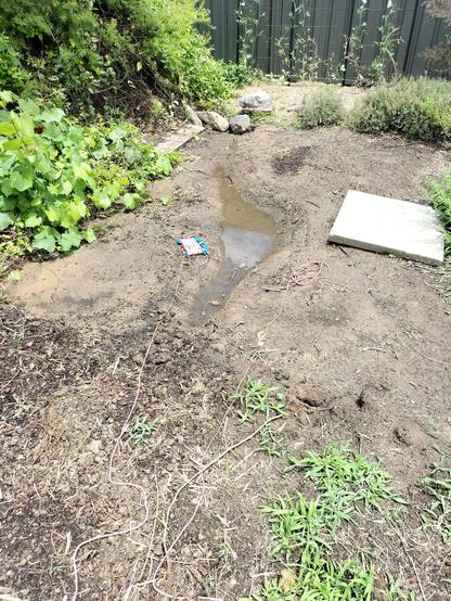 A muddy backyard with a puddle of water in a small water channel.