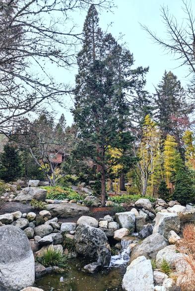 Lithia Park, Japanese Garden, Ashland, OR