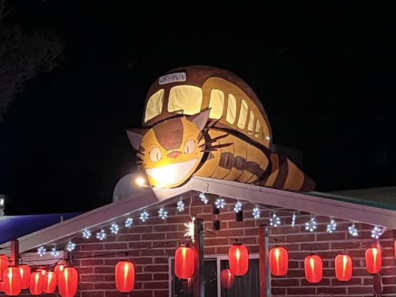 Catbus on light decorated roof