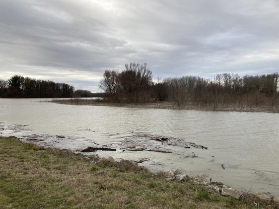 Ufer eines winterlichen Gewässers mit hohem Wasserstand. Normalerweise ist das Schilf im Hintergrund mannshoch und das Ufer im Vordergrund mit Steinen eingefasst. Ersteres ist kaum zu sehen, letztere unter Wasser.