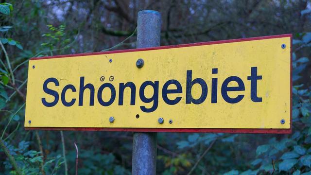 Schild "Schongebiet". Jemand hat zwei Augen als Ö-Punkte oberhalb des "o" gemalt.