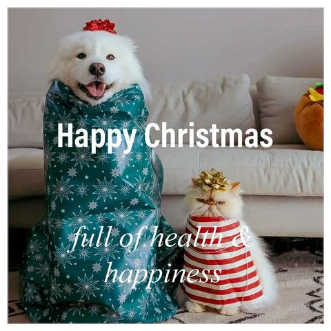 Dog & cat wrapped in Christmas paper