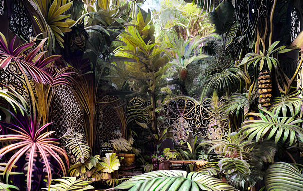 a somewhat faded photographic view of a path through a jungle leading up to a an almost hidden gate