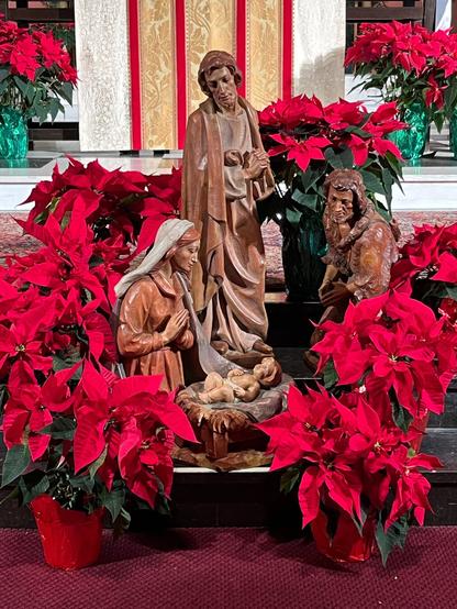 Old carved wooden statues of Mary, Joseph, Jesus, and a shepherd on carpeted steps surrounded by red poinsettias.