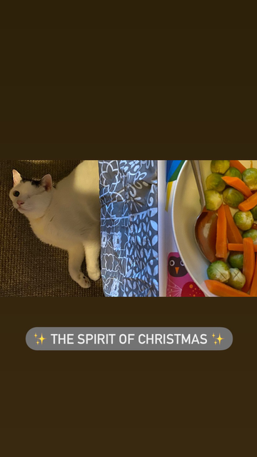A cat beneath a Christmas  table full of seasonal food