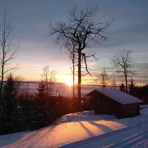 A view of a sunset in the winter with a red sun hanging low over the snow covered landscapes, peaking out next to the darkened skeleton of a tree that has long lost all is leaves for the season. In the front is a small laavu, and just in the corner close to the photographer you can see two perfectly prepared ski tracks for cross country skiing. 

The warm colour from the sun is colouring the snow red, while the parts remaining in the shadows has a dark bluish tint to it.