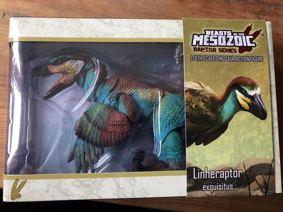 A boxed Beasts of the Mesozoic Linheraptor