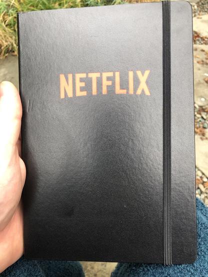 photo: a black hardcover notebook with the Netflix logo on it. I bulk bought a bunch of various Netflix branded notebooks from the swag store when I was an employee a few years ago. This feels like a poetic use of them.