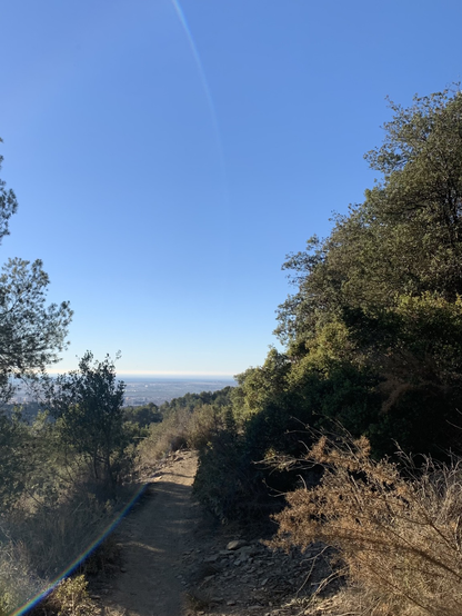 Un petit sentier avec le Llobregat au fond