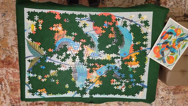 Photo from above of a jigsaw puzzle that appears to be about 50% complete. Bright teal and turquoise birds with black and white striped wings, blue branches they're perched on, two-toned leaves, oranges, white and pale turquoise flowers with open pointed petals, and white buds along with bees here and there.