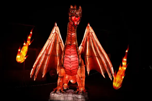 Eine Laterne der China Lights Show im Kölner Zoo in Form eines roten Drachen, der frontal fotografiert wurde. Der Drache sitzt und hat die Flügel angewinkelt. Sein Maul ist geöffnet, als wollte er gleich Feuer spucken.