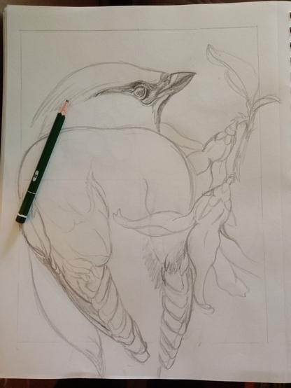 Rough pencil drawing of a bird with flowers in a sketchbook.
