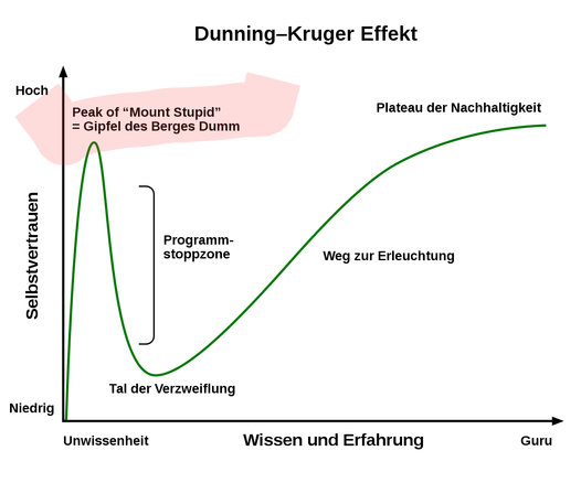 Grafik des Dunning Kruger Effekts mit markiertem Mount Peak
