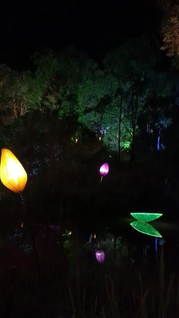 Lights on a lake.