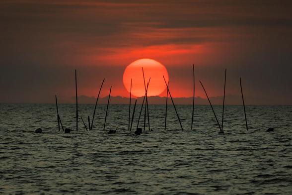The setting sun sinks into the Bay of Bangkok as seen from the shores of Chon Buri Province, Thailand.  The bamboo poles in the sea are used by local fishermen for mussel cultivation.  Thanks for viewing!  I'll be waiting on pins and needles for your reaction :) 

Nikon D7500, Sigma 18-300, ISO 200, f/7.1, 300mm, 1/500s