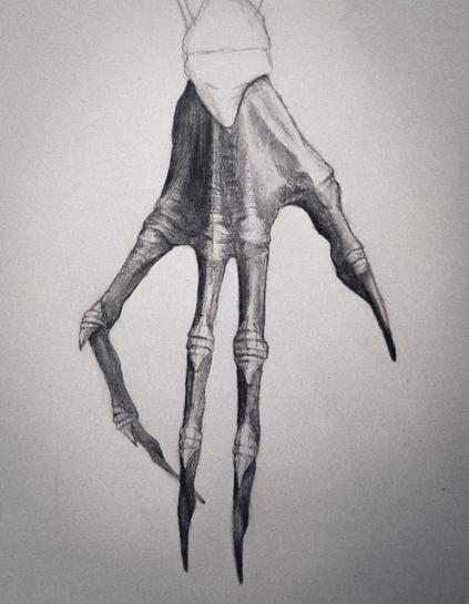 A drawing of an alien hand with four spindly long digits - one thumb and three fingers. The joints have bone-like reinforcements. The claws are long and dark.