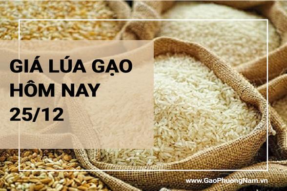 “gaophuongnam.vn Giá lúa gạo hôm nay ngày 25/12/2023: Nguồn gạo về ít, giá lúa ở mức cao ; Mở một tab mới Theo thông ... / 1件のコメント https://b.hatena.ne.jp/entry/s/www.pinterest.com/pin/835628905885061450/#utm_campaign=bs_md (1 user) https://htn.to/2skeH2ssuL

#Giálúagạohômnay #Giálúagạo #gaophuongnam