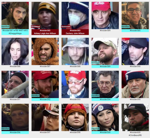 Photos of January 6th riot suspects who were observed inside the US Capitol Building (Range: 0581-0600).