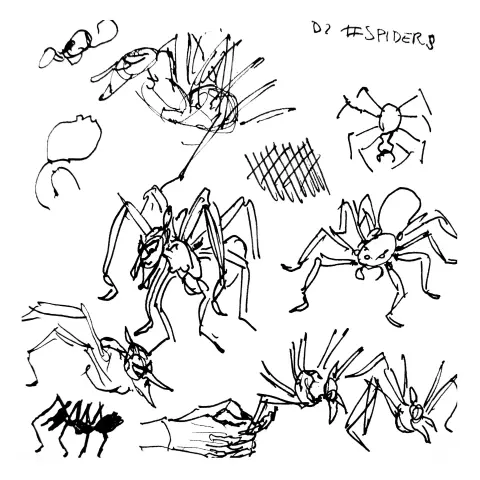 Sketches of Ms.Boredom  as a spider