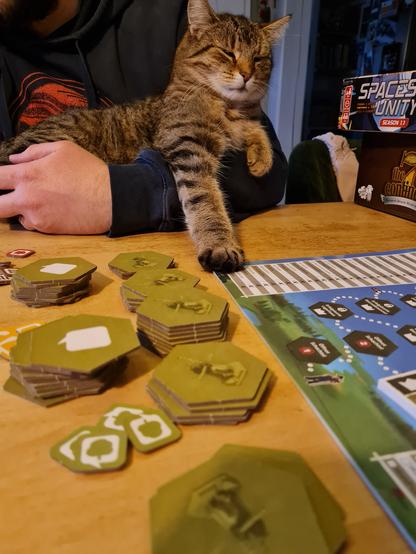 Ein Tisch auf dem Teile eines Brettspiels ausgebreitet liegen. Der Fotografin gegenüber sitzt ein Mitspieler, der eine Katze im Arm hält. Die Katze hat die Augen geschlossen und reckt ein Beinchen Richtung Spieltisch.