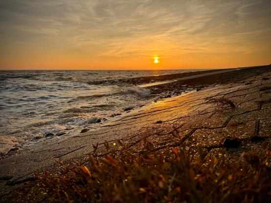 Sunset on Wilhelmshaven's South Beach with crashing waves, reflecting sunlight and blurry plants in the foreground.