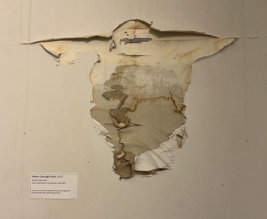 Water damaged drywall that looks like Yoda