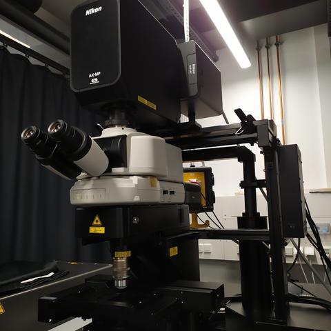 An upright confocal multiphoton microscope in a laboratory environment.