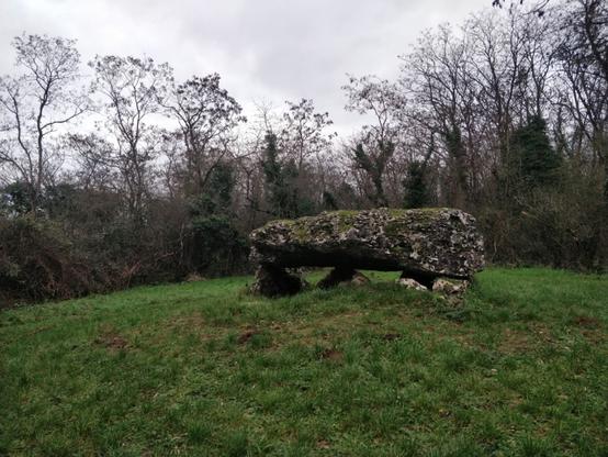 La « Pierre tournante » à Tavers (mégalithe, Loiret, France) posée sur quatre autres pierres verticalisées et à demi enterrées. Le tout forme un petit dolmen entouré d'herbe, au milieu d'un petit bois. Cet espace boisé est lui-même au milieu d'un vaste espace agricole de ce début de Beauce.