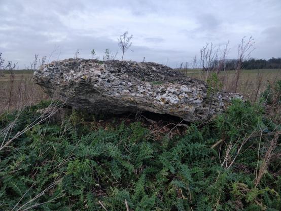 La « Pierre du Vert-Galant » à Tavers (mégalithe, Loiret, France) posée sur un petit tumulus de terre, en plein milieu d'un champ agricole.