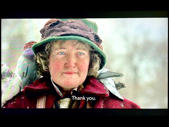 A person with a hat, surrounded by pigeons, with a caption that reads "Thank you."