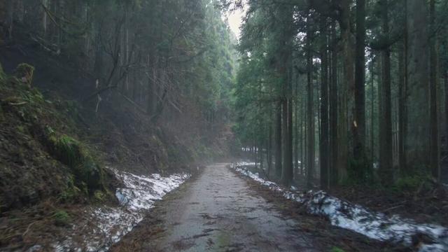 🇯🇵 福井サイクリング: 越前の山間部、美山町羽生地区を自転車で探索する [4K]