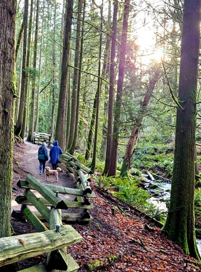 Two people in coats with a dog on a forest trail near a stream. Sun flare coming through the trees.