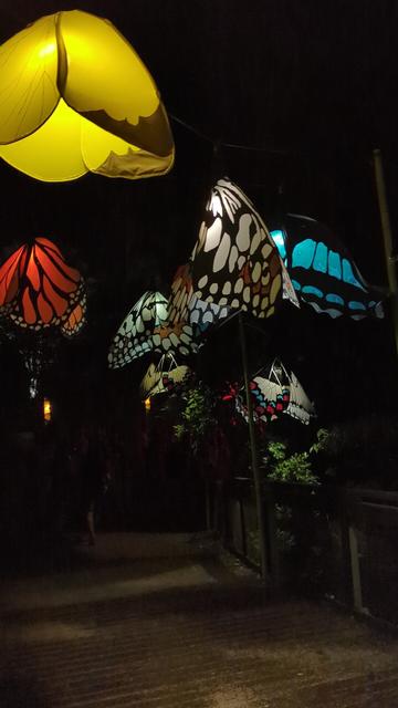 It's night at Woodford and yellow, red, blue, green, brown and white butterfly wings are lit by LEDs hanging over a bridge.