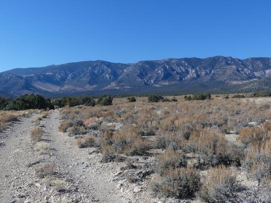 Sometime rough unmaintained road approach to the mountain edge. The mountains rise suddenly from the gentle upward tilt of sagebrush covered flats. They have rocky canyons and smooth tops.