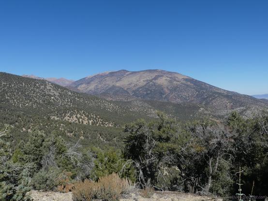 Black Mountain from the south. The named "mountain" is really the shoulder on the far right, not the peak just above it or the much clearer peak above that, both of which are not named.

Foothills of mountains seen from the side suddenly get taller for a mountain that is only "black" because of the pinon pines topping it, but otherwise tan. Just visible behind it to left are higher treeless peaks of the High Schells.