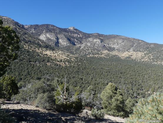 A dome in the landscape. Gentle slopes suddenly turn to steep and rocky canyons topped with smooth ridge line except for one quarter dome of rock at the top.