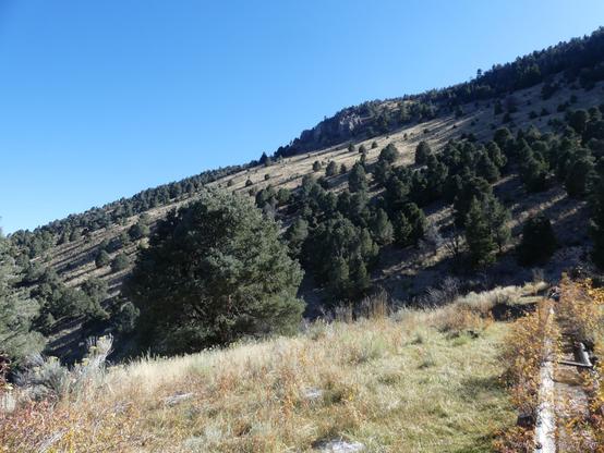 Looking across the edge of the mountains. A long, skinny trough in the foreground points out to a 25 degree or so slope of scattered pinon and juniper in sage. The upper slope has a few short cliffs.